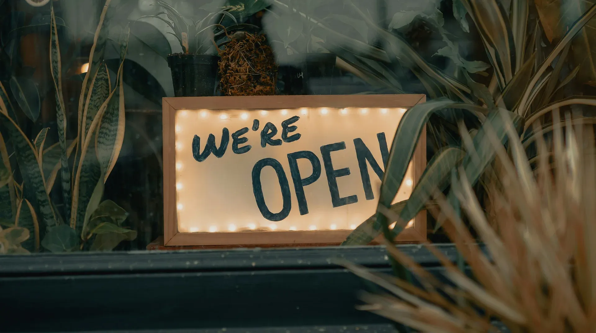 A lit We're Open sign in a shop window framed by plants